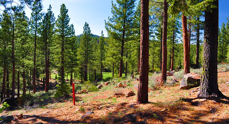 HOMESITES