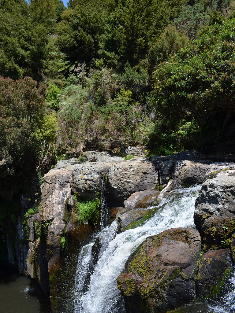 Kauri Cliffs Waterfall