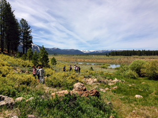 Headwaters Science Institute