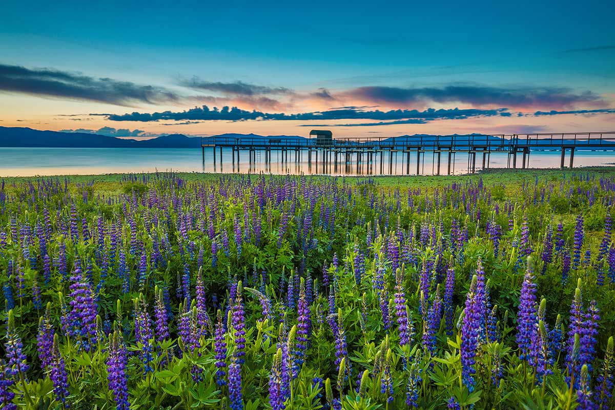 Paul Hamill Lake Tahoe Photography