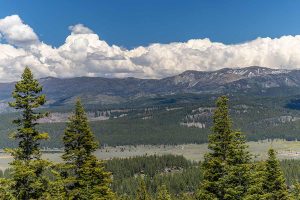 Truckee Luxury Homes for sale - Martis Camp Home 41