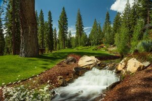 Truckee Luxury Homes for sale - Martis Camp Cabin 245 - 8760 Breakers Ct, Truckee, CA 96161