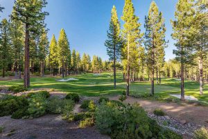 Truckee Luxury Homes for sale - 8130 Valhalla Drive