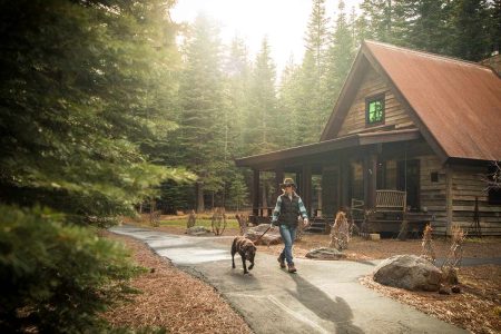 martis camp lost library gallery