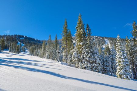 martis camp private ski connection gallery